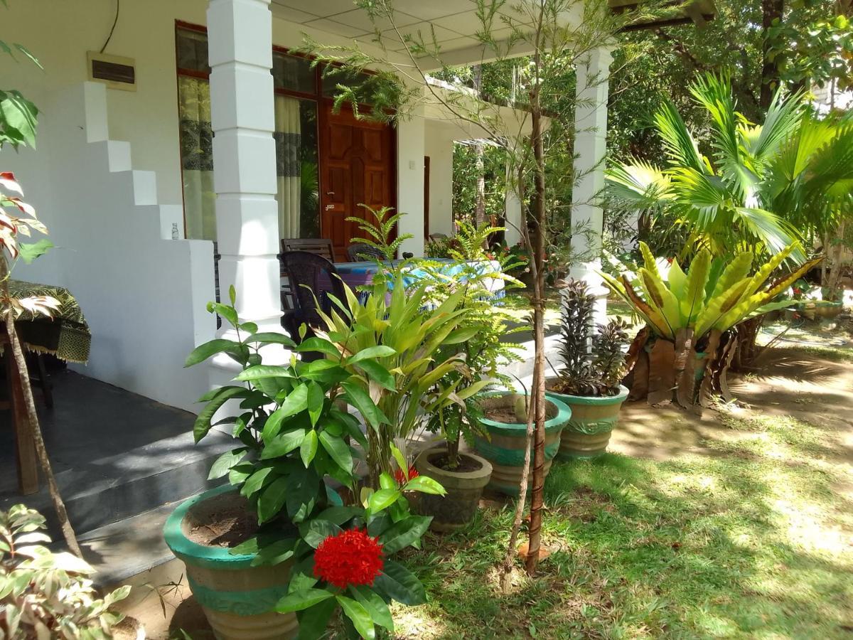 Freedom Home Stay Sigiriya Exterior photo